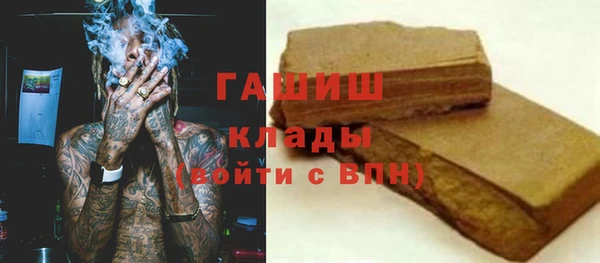 стаф Богданович