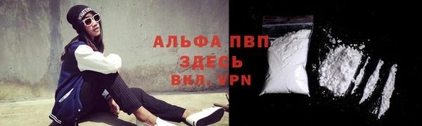 стаф Богданович