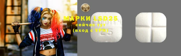 стаф Богданович