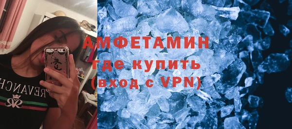 стаф Богданович