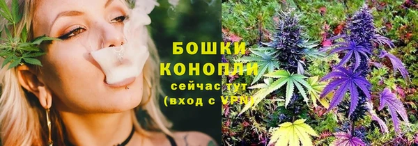 стаф Богданович