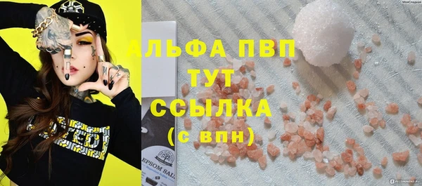 стаф Богданович