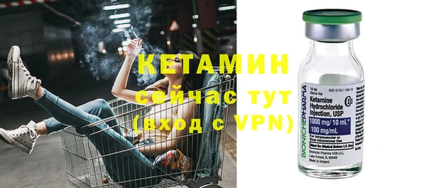 стаф Богданович