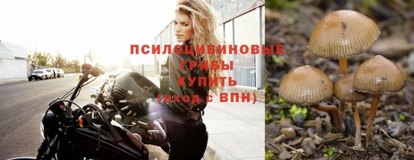 кокаин колумбия Тайга