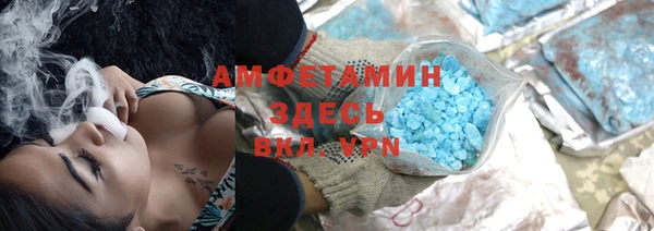стаф Богданович