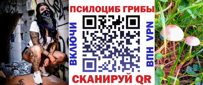 kraken ТОР  Волосово  Галлюциногенные грибы GOLDEN TEACHER  где продают  
