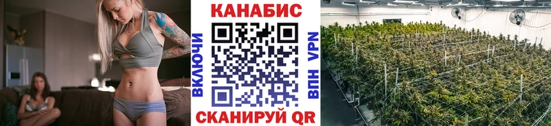 продажа наркотиков  Волосово  МАРИХУАНА White Widow 